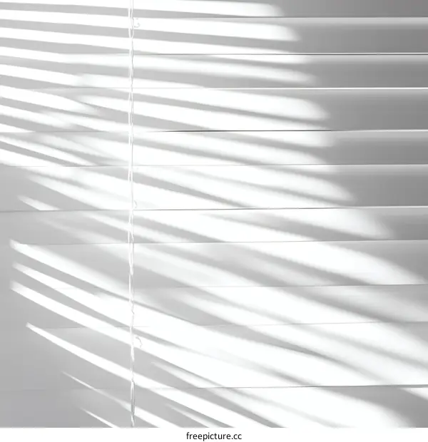 White Venetian Blinds Shadow Patterns