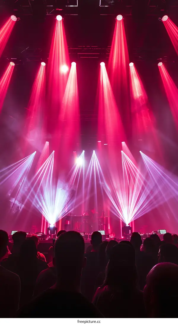 People watching a concert with red and white stage lights
