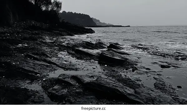 Coastal Rocks and Grey Ocean Scenery