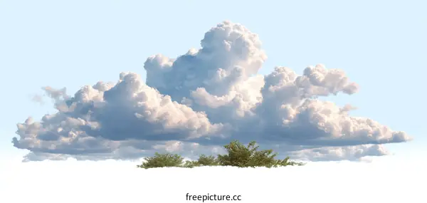Beautiful Cumulus Cloudscape with Plants