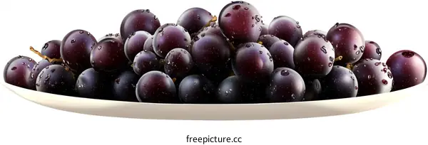 Fresh Dark Grapes on a Plate