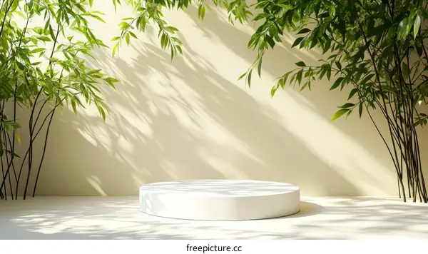Minimalist White Podium Display with Lush Bamboo Plants