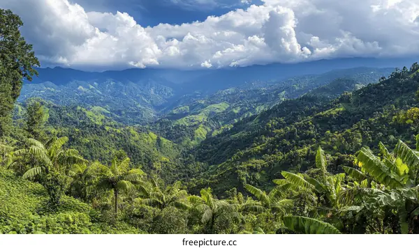 Beautiful Mountainous Landscape with Lush Vegetation