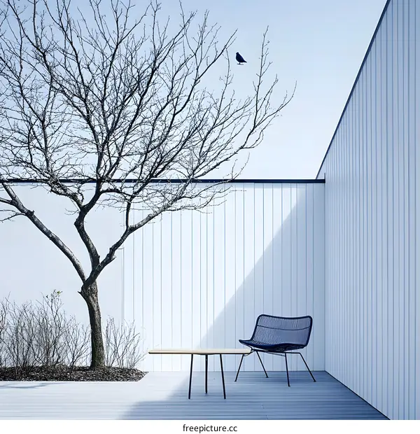 Minimalist Patio with a Tree, Chair, and Table