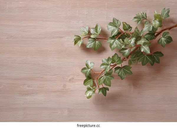 Light Beige Wooden Background with Greenery