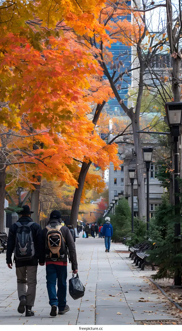 Two Men Walking on a Path Lined with Trees in Autumn