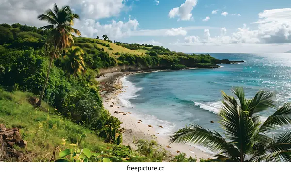Tropical Beach Cove with Lush Greenery and Clear Blue Water