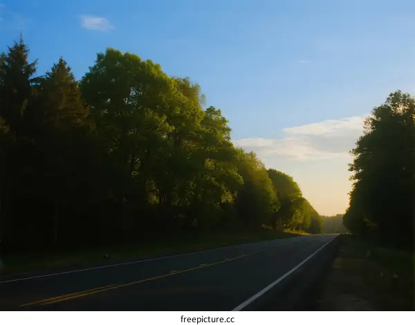 Scenic road with lush green trees under a clear blue sky
