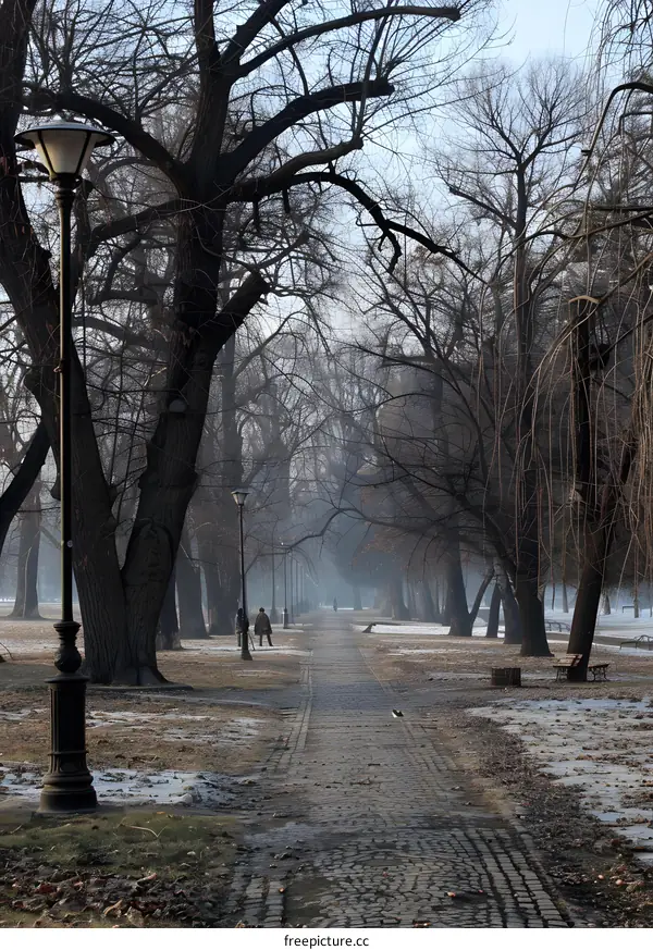Winter Path in a Park with Bare Trees