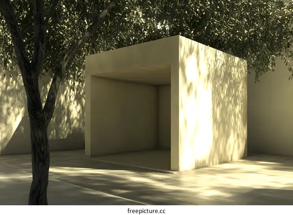Minimalist Concrete Structure with Tree Shadow