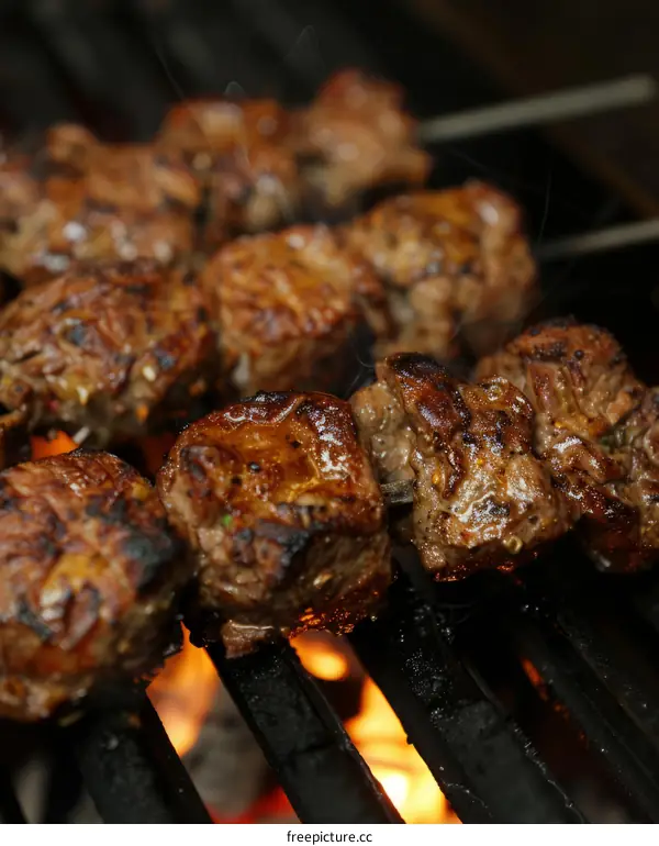 Grilled Beef Tenderloin Skewers