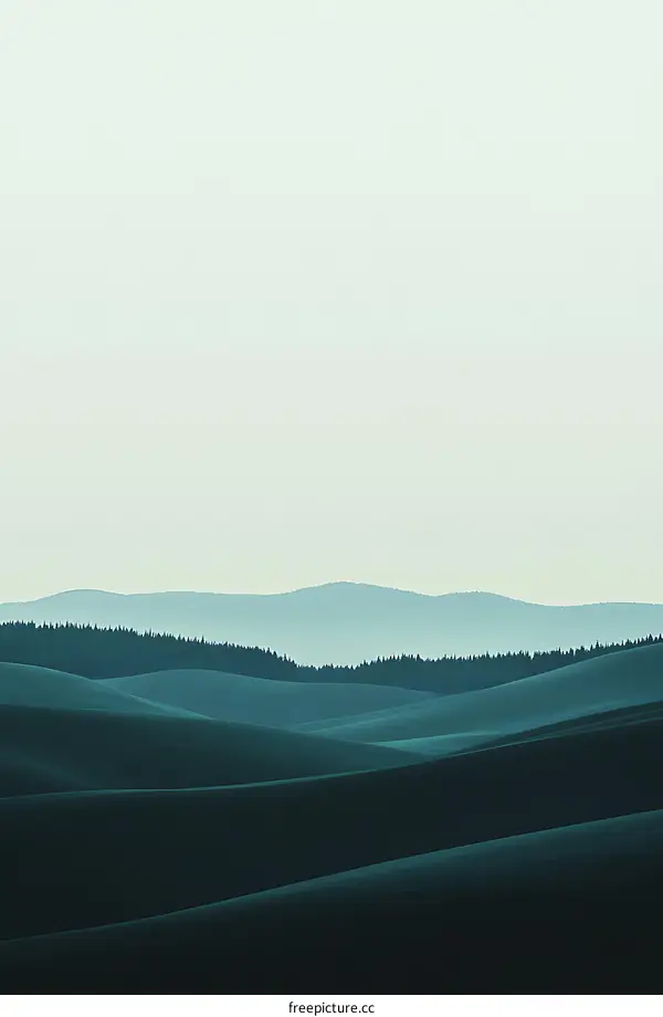 Rolling Hills Landscape With Forest in the Distance