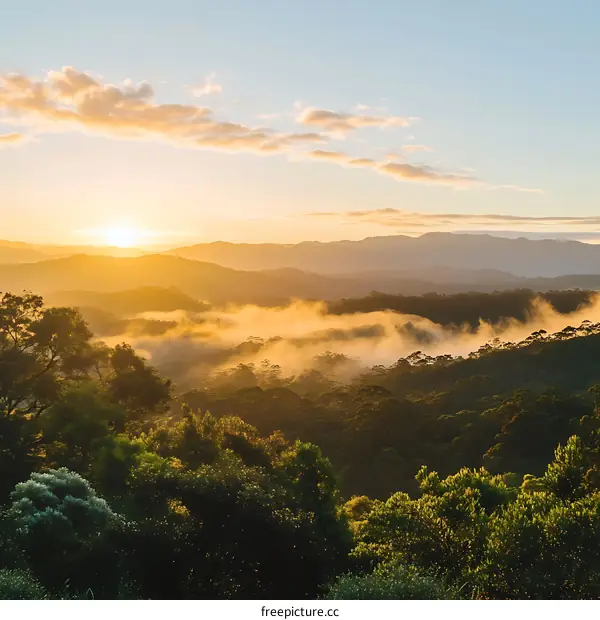 Golden Sunrise Over Foggy Mountain Landscape