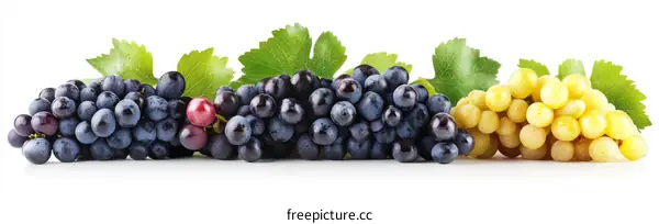 Fresh Grapes Clusters of Different Colors