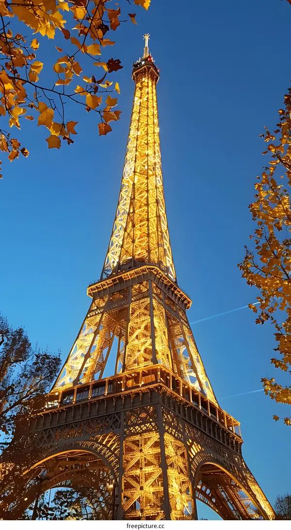 The Eiffel Tower at night with autumn leaves