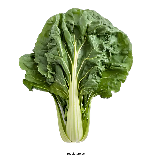 [Transparent Background PNG]Fresh Green Swiss Chard Leaves Isolated on White Background