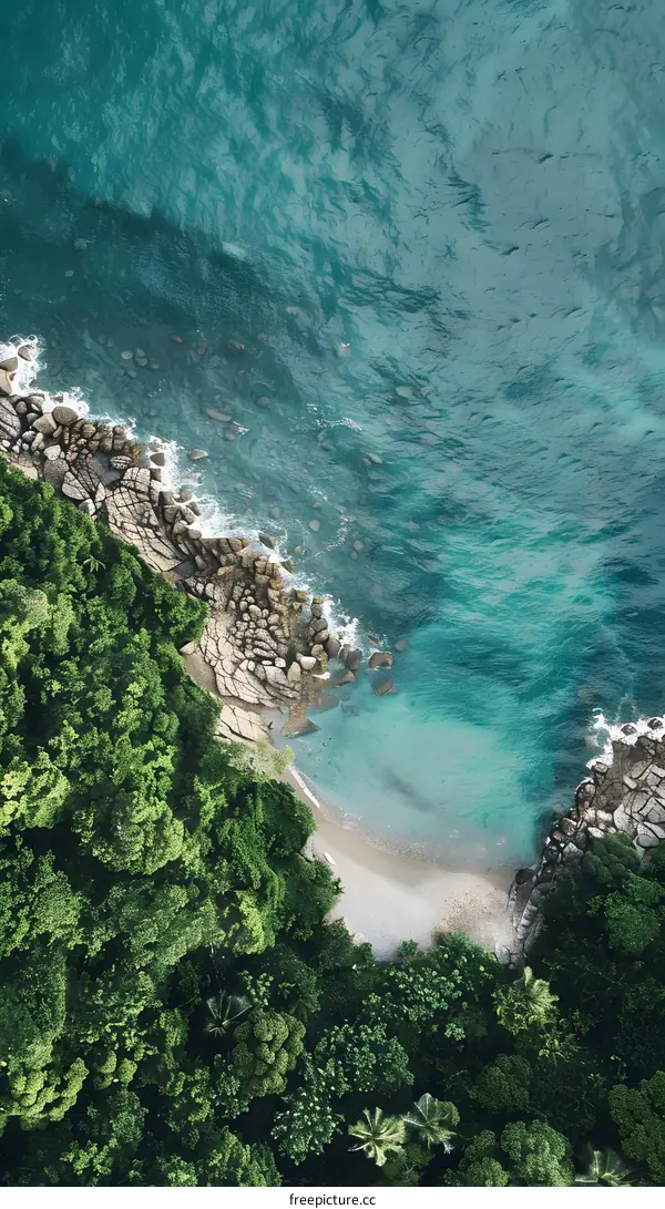 Aerial View of a Tropical Beach
