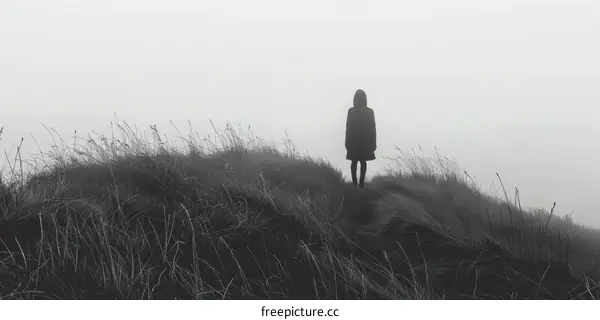 A person standing alone on a hilltop overlooking a field of grass