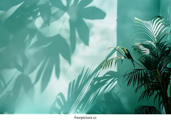 Tropical Plant Shadows On Green Wall