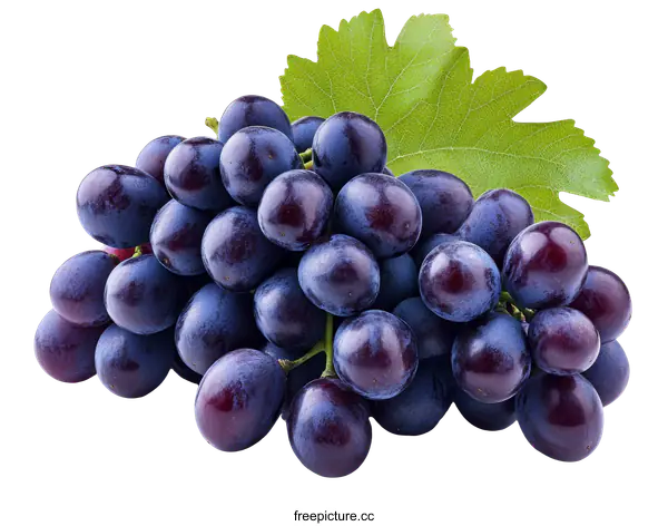 [Transparent Background PNG]Fresh Cluster of Dark Purple Grapes with Leaf