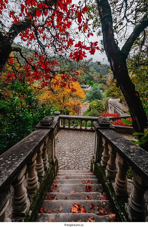 Stone Stairway Leading to a Garden in Autumn