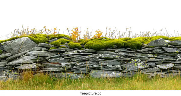 [Transparent Background PNG]Stone Wall Covered in Moss and Grass