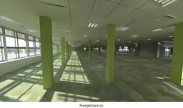 Empty Office Space With Green Carpet And Sunlight