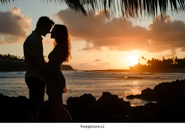 Silhouette of Couple Embracing at Sunset on Tropical Beach