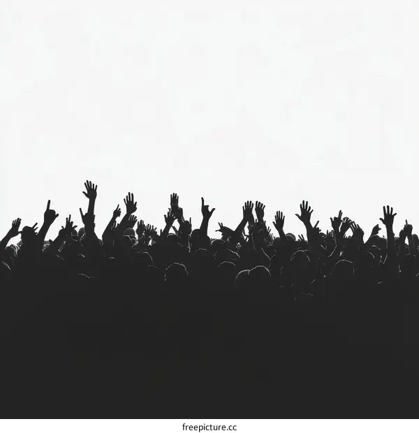 Crowd Silhouettes at a Concert Event