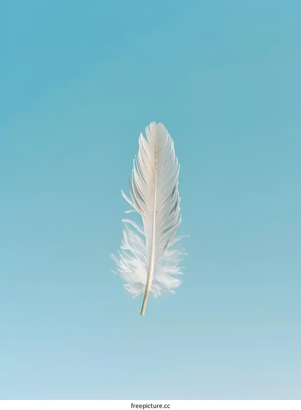 A white feather floating in the blue sky