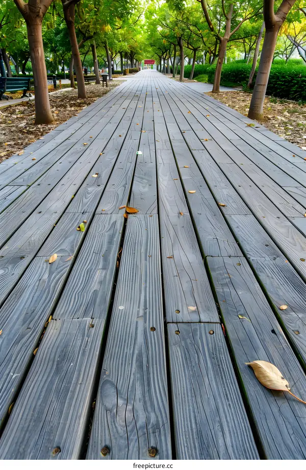 Wooden Path Through Trees in a Park