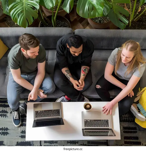 Three Young Adults Working on Laptops Together in a Modern Office Setting
