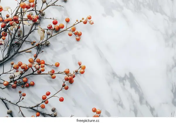 Winter Berries on Marble Background