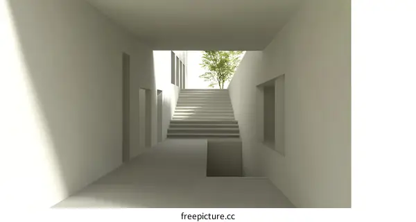 Minimalist White Stairway Leading to a View of a Tree in a Modern Building