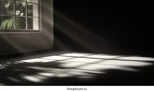 Sunlight Rays Through Window Interior Scene