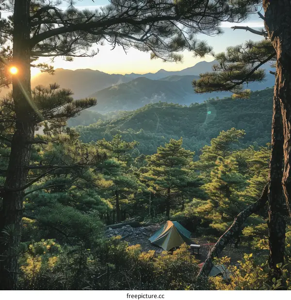 Camping in the mountains under the sunrise