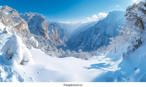 A winter wonderland of snow-capped mountains and trees