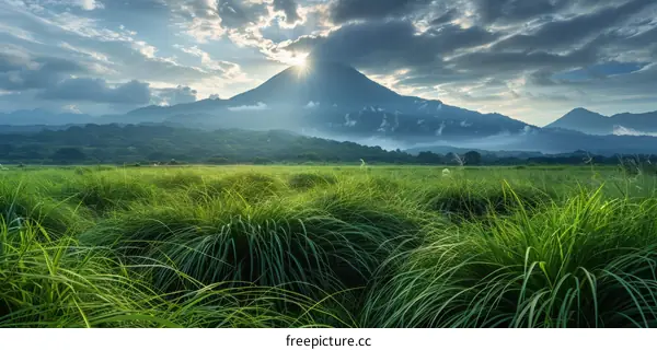 Green Grass Field With Mountain In The Distance