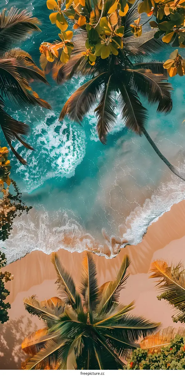 Aerial View Of Palm Trees On Sandy Beach