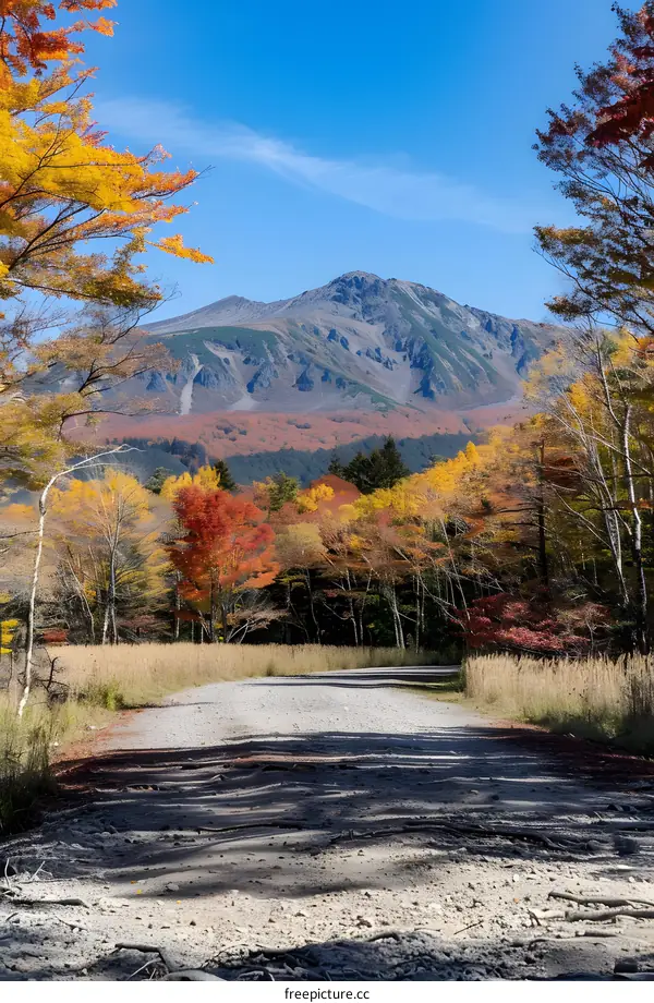 Autumn Road with Colorful Trees and Mountain in Background
