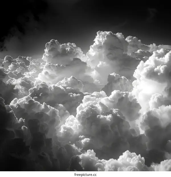 Black and White Cumulus Cloudscape