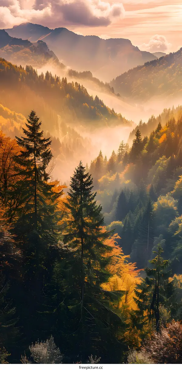 Autumn Forest with Golden Leaves and Morning Fog