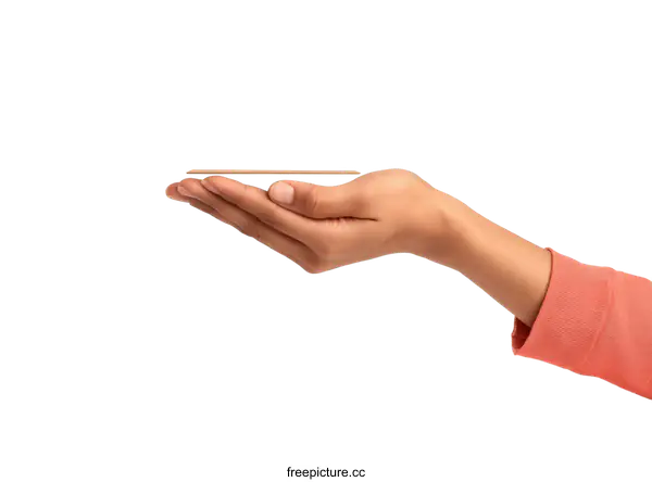 [Transparent Background PNG]Hand Holding a Wooden Stick