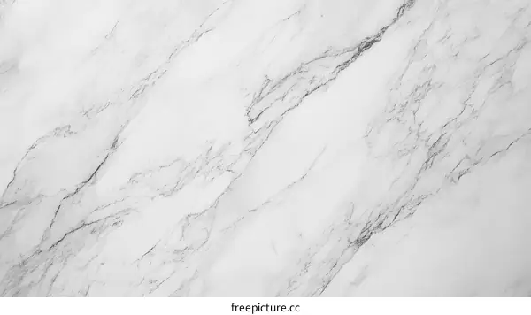 Elegant White Marble Texture Background