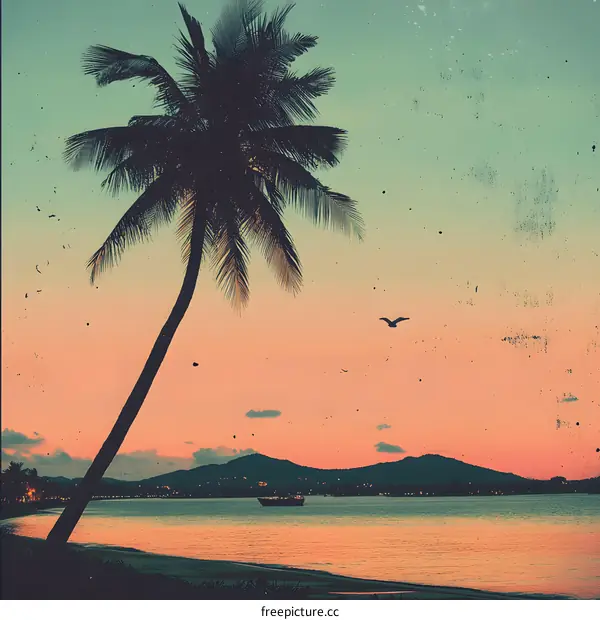 Silhouette Palm Tree Tropical Sunset Seascape