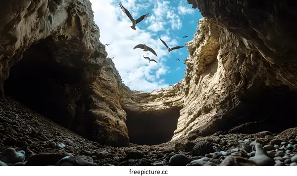 Sea Birds Flying Through A Cave Opening