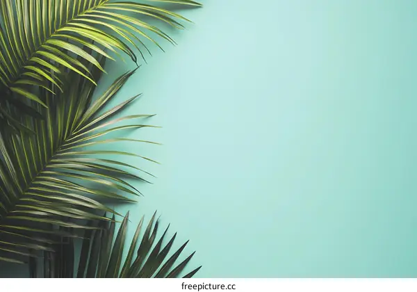 Tropical Palm Leaves on Blue Background