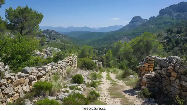 A mountain path between two stone walls in a pine forest