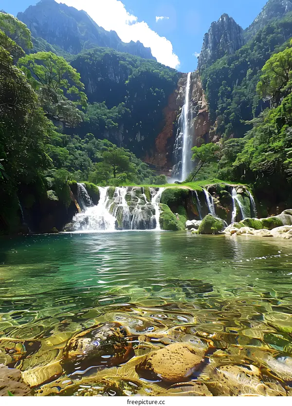Waterfall in a Lush Green Forest