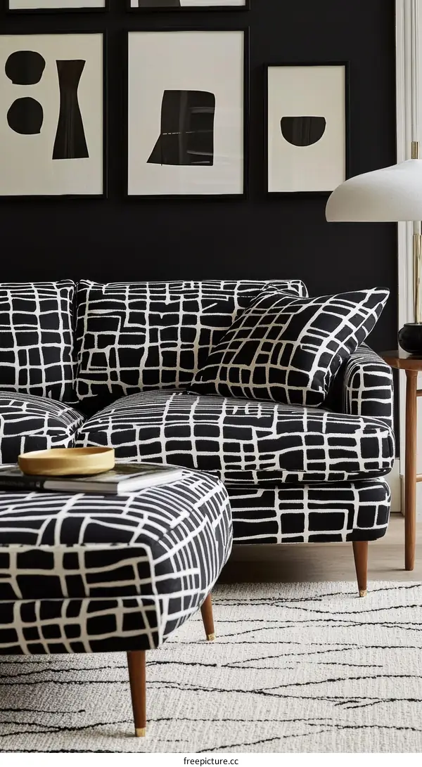 Modern Black and White Living Room Sofa Set